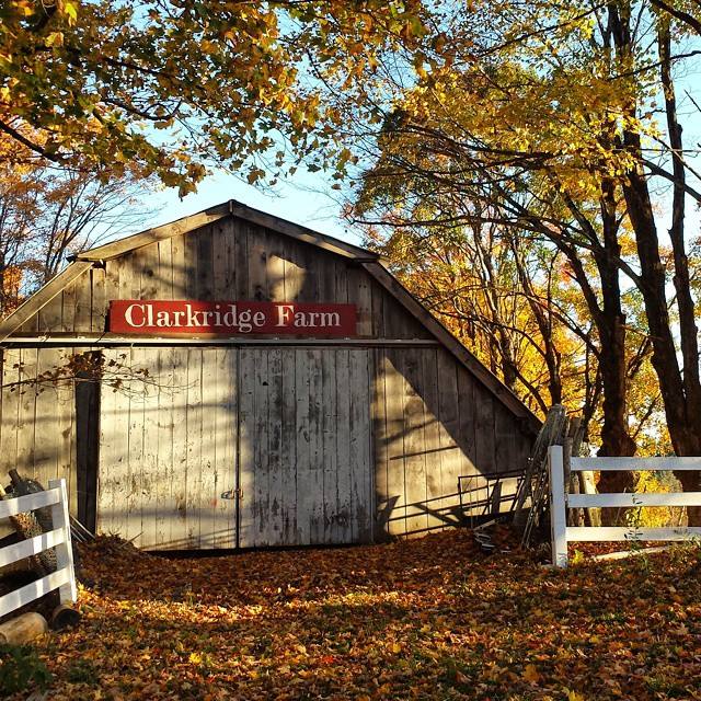The King family farm, Clarkridge, in Goffstown, N.H. Photo courtesy of the author. 