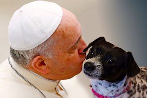 Scolding Those Who Choose Pets But No Children Pope Misses the Rainforest for the Trees