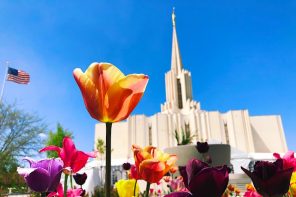 Three Cheers for Mormon Support of Same-Sex Legislation? Not So Fast