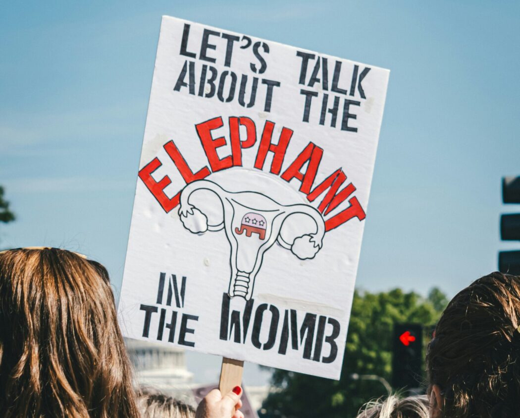 protest sign: let's talk about the elephant in the womb