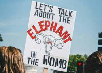 protest sign: let's talk about the elephant in the womb